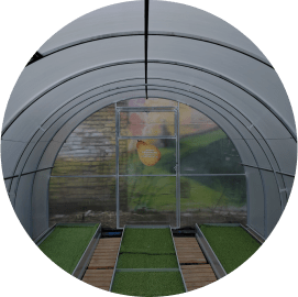 фото категории